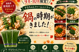 期間限定！福島県新地産 すなちゃんニラ 30束・3kg(100g×30束)