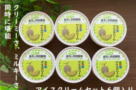 しまね夢メロン（低カリウムメロン）【青肉】を使用したアイスクリームセット（６個入り）