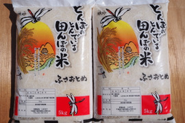 令和7年 千葉県産 コシヒカリ 無洗米 10kg：千葉県産のコシヒカリ