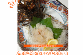 五島列島産 伊勢海老 1kg