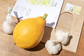 「コリンキー」１個(約５００g）と「ニンニク」３個セット【限定5箱】