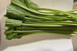 今が旬★山菜！秋田県鹿角市産の葉が開いた山うるい(ウルイ)2kg