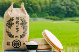 【令和4年産特別栽培米】十代目松治 滋賀県産コシヒカリ「縁起の竜王米」 玄米20kg(10kgX2袋)