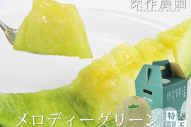 メロディーグリーン【特大 1玉】