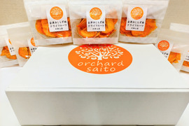 柿ドライフルーツ（チャック付）【45g×10袋】