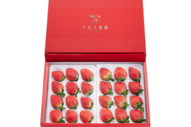 【予約販売 2026年11月下旬～順次発送】 特選あまおう 800g ギフト お歳暮