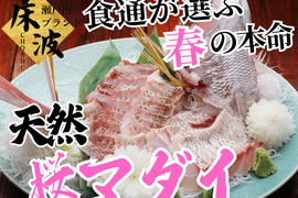 【完成度で選ぶ春鯛】グルメマニアが迷わず選ぶ『天然国産桜マダイ』長州床波ブランド大容量パッケージ約700g【4月上中旬予約】