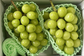 果樹大国山梨の【シャインマスカット】2kg箱（3〜4房入り）🍇
