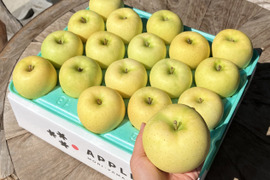 【10月発送】青森県特別栽培りんご🍏トキ10kg🍏低農薬で皮ごとおいしい🍴キズなし良品🎁化学肥料不使用 低農薬 予約 青りんご