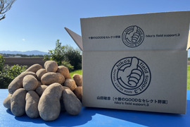 R6年産 北海道十勝【メークイン🥔】10kg❗️5kg×2箱セット送料節約!