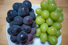 食べ比べセット🍇岡山県産シャインマスカット＆ニューピオーネ（ご家庭用・約２ｋｇ）【9周年感謝祭】