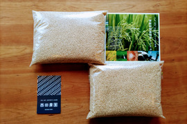 一等米【栽培期間中農薬不使用コシヒカリ】玄米4kg（2kg×2袋）【80】令和5年産 有機肥料のみで栽培
