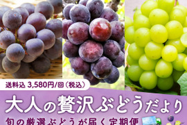 【200セット限定】 大人の贅沢ぶどうだより（食べチョク公式）