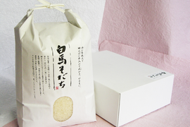 『特別優秀賞』特栽米コシヒカリ(2kg)【令和4年産】　お米