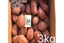 【絶品】大人気！安納芋 Mサイズ 3kg(箱別)