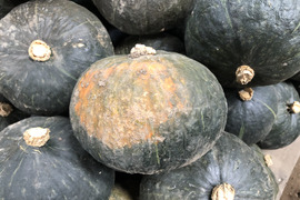 【農薬化学肥料不使用】ホクホク甘い！九重栗かぼちゃ(6kg)