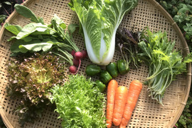 秋の野菜セット8〜9種類