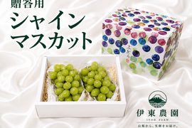 【贈答用】温室栽培シャインマスカット　2房（1.1Kｇ以上）