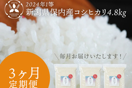 【定期便】2024年 新潟県保内産コシヒカリ1等 （4.8kg×3ヶ月）