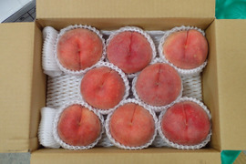 桃 訳ありの通販｜食べチョク｜産地直送(産直)お取り寄せ通販