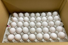 たまご 玉子 卵 白玉 1箱 Mサイズ 90個入り エッグ EGG