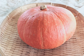 べにくり(約3kg 2～4玉）★赤色鮮やかな栗風味かぼちゃ！【冬ギフト】