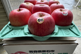 蔵出し春りんご　春明21　家庭用　3キロ　農家直送限定販売　ラスト2箱！