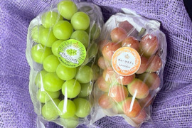 ごほうび気分で味わう、ふたつのぶどう　岡山県産『シャインマスカット＆サニードルチェ』ご自宅用１kg