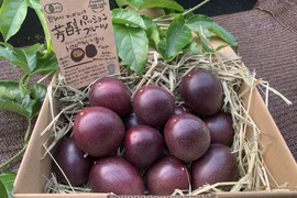 🌺販売中🌺\\ はじめましてセット //
【有機JAS認証】オーガニック芳醇パッションフルーツ/ご家庭用1.2kg ¥3600→¥3000/贈り物にも◎/芳醇な香り/濃厚な味わい！