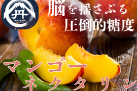🍑一度食べたら忘れられない衝撃🍑【お中元ギフト】完熟マンゴーネクタリン【7月上旬予約】大容量約2kg6～9個【朝どれ高級もも】【家庭用桃・贈り物】