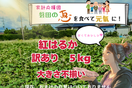 ネットリ甘ーい紅はるかを愛情価格でお届け！(５kg）