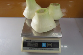 「手作り」ジャンボにんにく3kg(約6-9個）