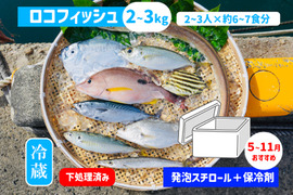 下処理⇒即日発送！ロコフィッシュ鮮魚ボックス2~3kg【発泡スチロール箱】