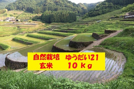 【令和7年新米】自然栽培「ゆうだい２１」玄米　１０ｋｇ