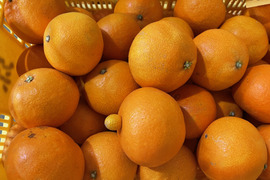 愛媛県のまどんなで産地直送の商品｜食べチョク｜産地直送(産直
