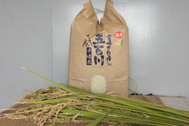 令和5年産　五百川精米5㎏　特別栽培米