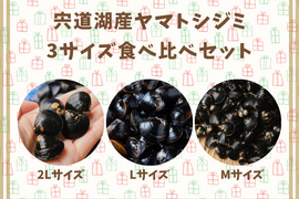 【食べ比べセット】宍道湖産ヤマトシジミ 計6.4kg （2Lサイズ1.6kg、Lサイズ2.4kg、Mサイズ2.4kg）