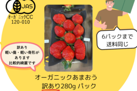 【訳あり】完熟！オーガニックあまおうB級（※6パックまで送料同じ）