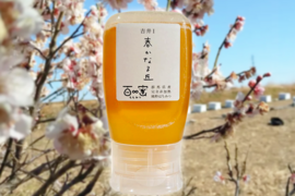 【予約販売】2025 春一番搾りはちみつ 300g