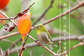 【樹上完熟】南国土佐 完熟蜜柿お試し１ｋｇ（５～７玉）ご家庭用 農薬不使用 自然栽培 四万十産