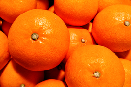 【秀品】せとか 4.5kg トロ～リ食感！柑橘の大トロ♡高級柑橘♫愛媛みかん！！