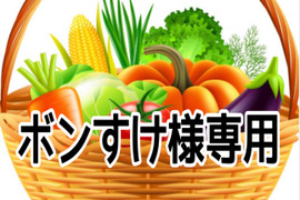 ボンすけ様専用