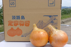 🧅5kgちょっと訳あり🧅甘トロ〜完熟玉ねぎ（箱込み）淡路島☆