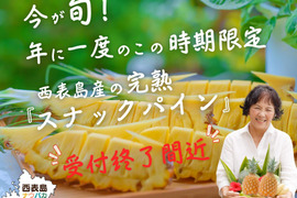 ✨世界自然遺産の島、西表島産✨☆お子さんにも大人気☆ 酸味が少なくあま～いパイン！手でちぎってスナック感覚で！西表島産スナックパイン６Kg