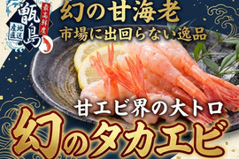 📺テレビやラジオに引っ張りだこ📺甘エビの大トロ『幻の生タカエビ』業界初パウダースノー冷凍で最高鮮度🐟20代女性漁師が手掛ける甑島ブランド【2026年10月上旬発送】