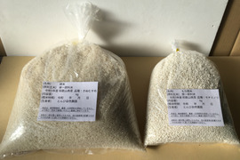 【新春福袋】特別価格　通常価格から2割引き‼　2023産 白米　健康第一！うるち米(3キロ)＆もち米(1.4キロ)セット