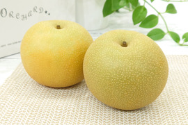 クセのない甘みの希少果実！秋栄梨 約3kg
