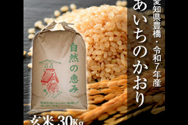 【節減対象農薬6割減】あいちのかおり 玄米30g【令和7年・愛知県産】
