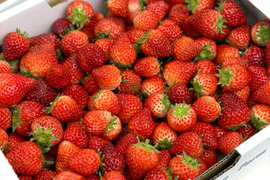 【たっぷり使える】訳ありよつぼし２kg｜ジャム・スムージー加工用に