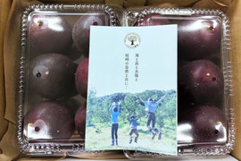 【夏ギフト】【お中元】太陽をたっぷり浴びて育った南国鹿児島の【パッションフルーツ1kg】（12個）
箱入り包装